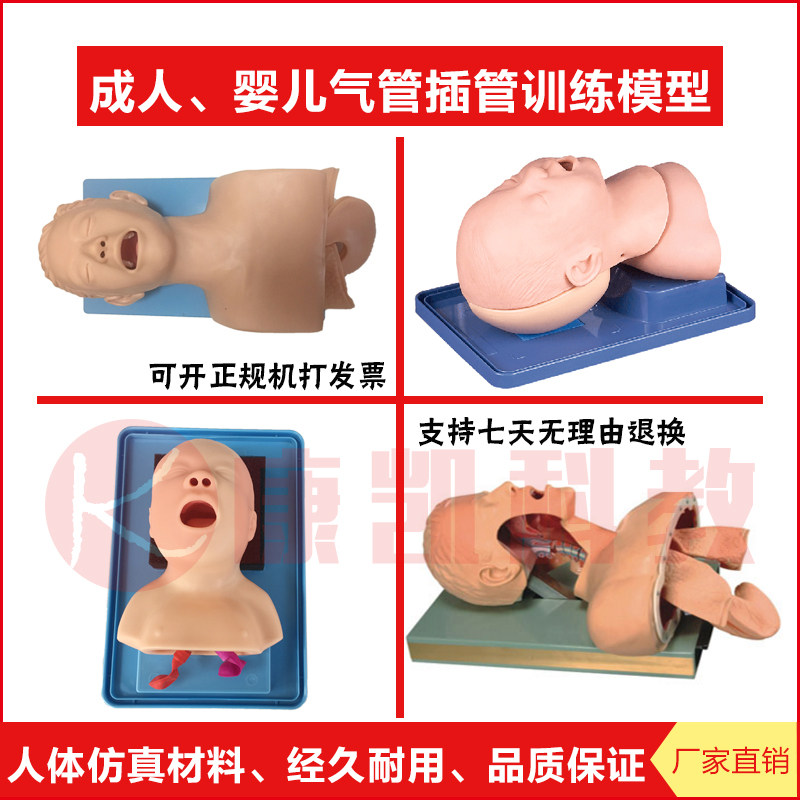 新生儿婴儿成人儿童气管插管训练模型医学用高级人体气管切开插管