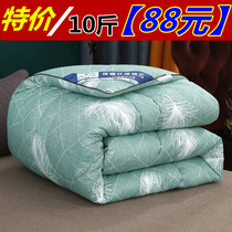 8kg 10kg quilt winter quilt padded warm spring and autumn quilt core single student dormitory double four seasons universal quilt