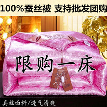Summer is air-conditioned Xia Liang quilt core 10 Jin thick winter quilt warm single double spring and autumn quilt wedding gift group purchase
