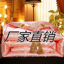 Silk quilt 100% silk spring and autumn quilt thickened winter quilt summer quilt single student double quilt quilt core cotton