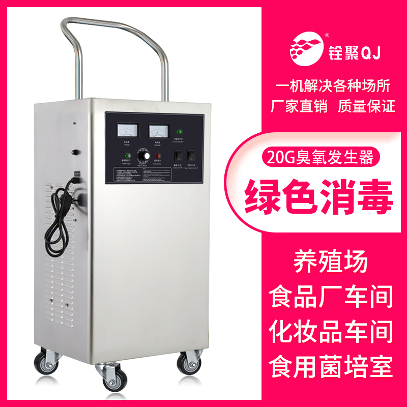 Gan ozone generator 20g25g mobile food factory workshop hotel farm Ammonia removal sterilization and disinfection machine