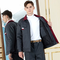 Железная пепельная дата красного воротника (хлопковая вершина) разборка