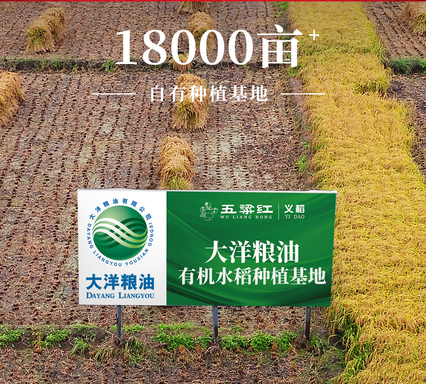 安享好物 安享S级粳米-五粱红有机稻花香 国标