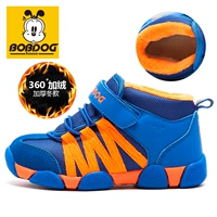 886001-BAO Blue Orange