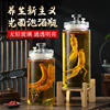 Glass Bottle for Soaking Liquor, Household Use, 5kg High-End Special-Purpose Liquor Bottles, Ginseng Liquor, Medicinal Liquor Jar, Empty Bottle with Spigot