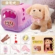 Домашняя версия [Golden Retriever] Дайте щенку+6 -кузную набор