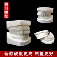 Bai Gangyu Dental Model Запеченная фарфоровая базовая стоматологическая модель до деформационного медицинского обследования.