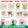 Товары от 理月模型店厂家直销