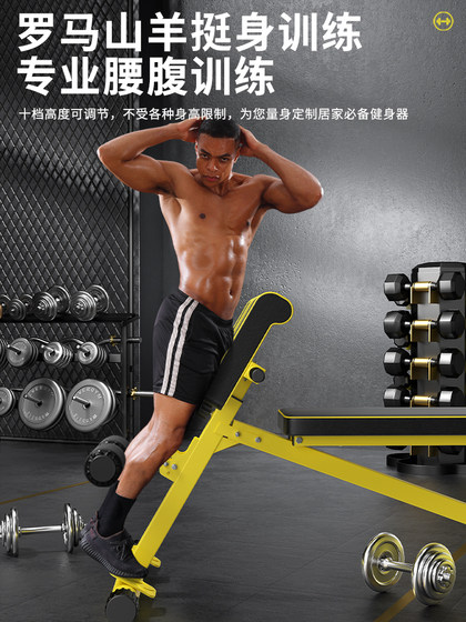 Roman Chair Multifunctional Dumbbell Bench Home-Use Preacher Bench Sit-Up Abdominal Board Goat Stretcher Fitness Chair
