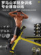 Roman Chair Multifunctional Dumbbell Bench Home-Use Preacher Bench Sit-Up Abdominal Board Goat Stretcher Fitness Chair
