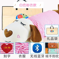 Собака с белой розовой одеждой