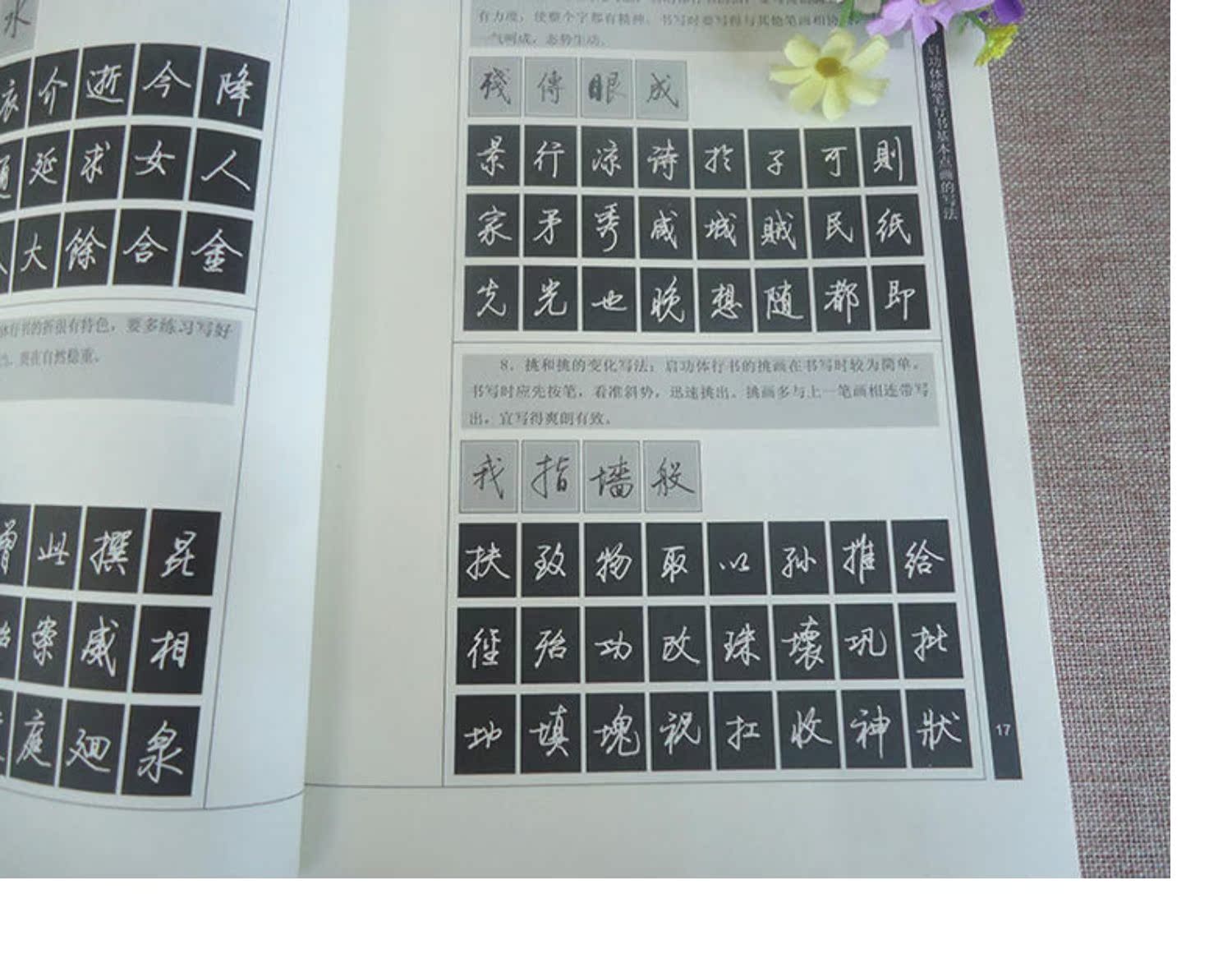 启功体硬笔书法技法训练行书 启功硬笔行书字帖 文阿禅编著 硬笔钢笔行书字帖行书硬笔书法字帖钢笔字帖启功行书临摹教程