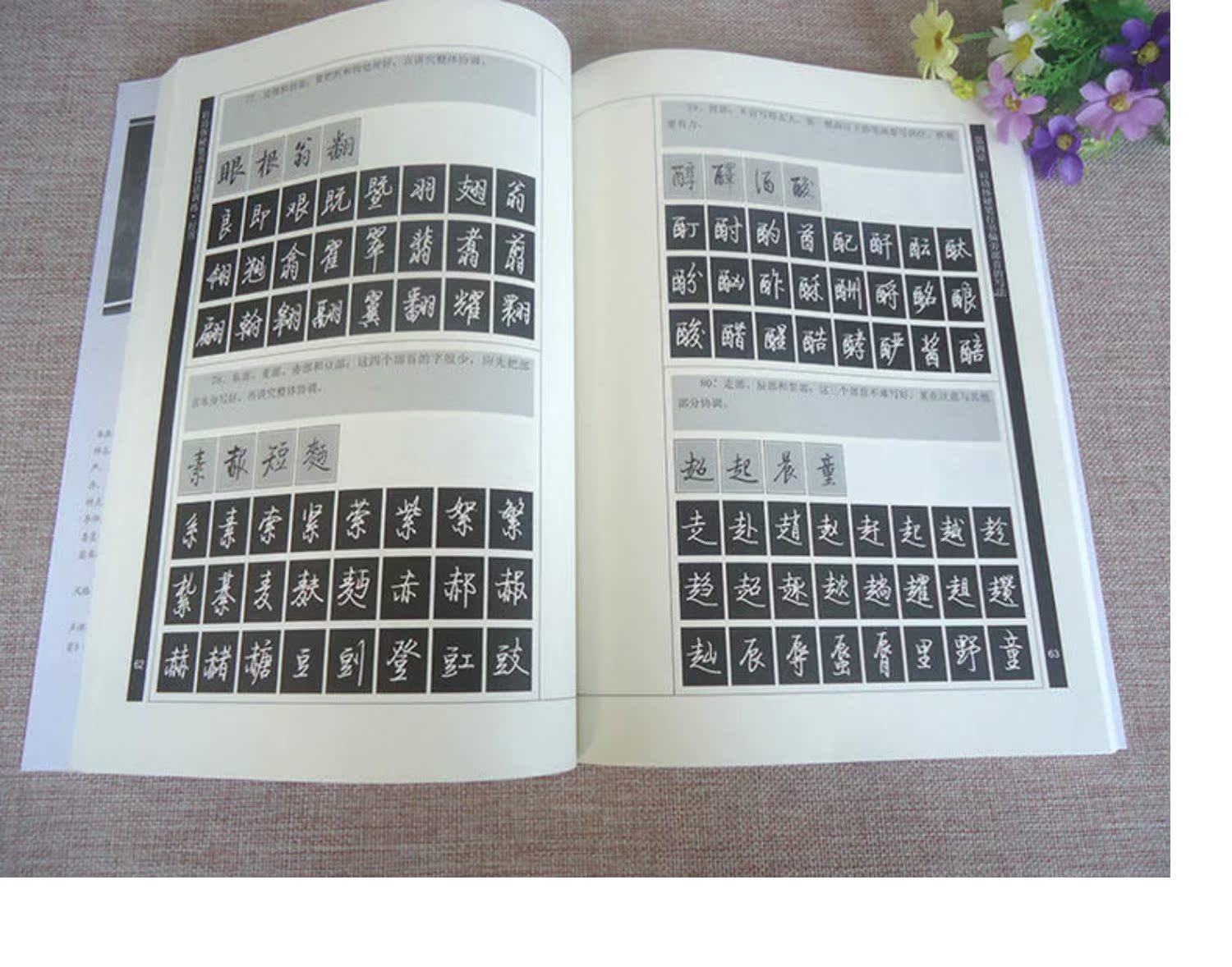 启功体硬笔书法技法训练行书 启功硬笔行书字帖 文阿禅编著 硬笔钢笔行书字帖行书硬笔书法字帖钢笔字帖启功行书临摹教程