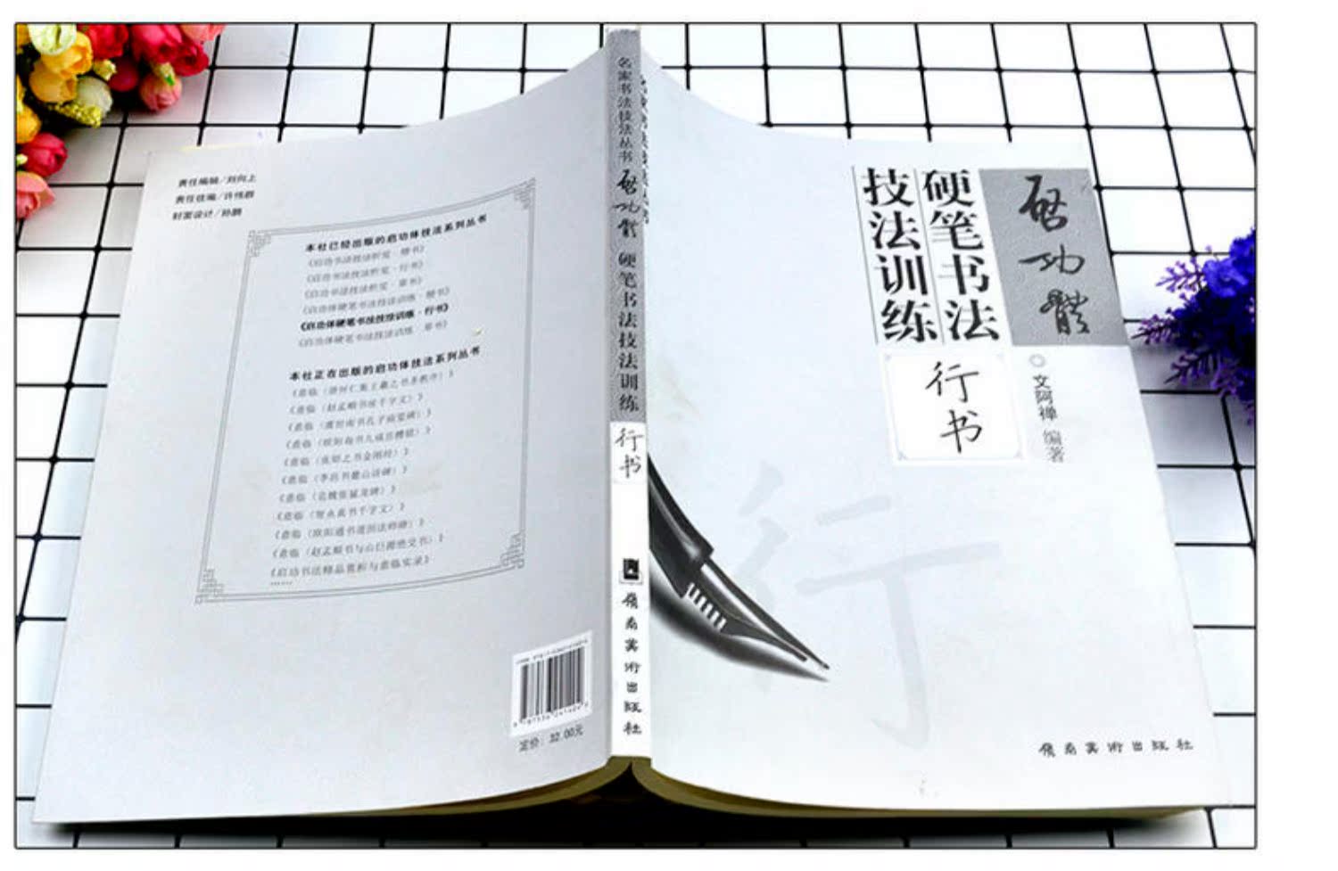 启功体硬笔书法技法训练行书 启功硬笔行书字帖 文阿禅编著 硬笔钢笔行书字帖行书硬笔书法字帖钢笔字帖启功行书临摹教程