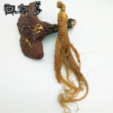 回客多 Сахар -безжаловый женьшень женьшень гора Гинбай Гинзенцен