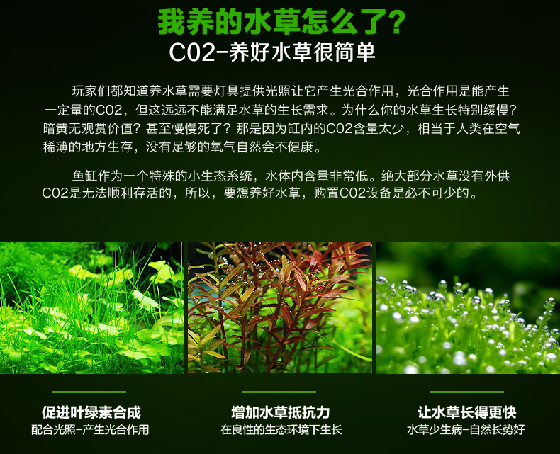 Co2气瓶套装co2钢瓶水草缸二氧化碳钢瓶套餐气瓶减压表细化器 玩家宝贝 Co2气瓶套装co2钢瓶水草缸二氧化碳钢瓶套餐气瓶减压表细化器 玩家宝贝
