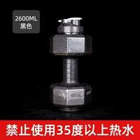 Для спортзала, черный, 2600 мл