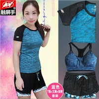 Комплект, футболка, шорты, бюстгалтер