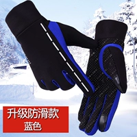 Северный свет (не -славитный синий)