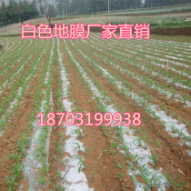 Yuanxiao Hongyuan concrete agricultural plastic film White transparent plastic film vegetable preservation and heat preservation protection special film