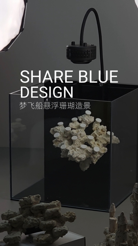 Small Blue Algae-Free Floating Aquarium for Coral Landscaping