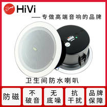 Hivi whiwei TD205A TD206A project waterproof ceiling horn ceiling toilet bathroom speaker