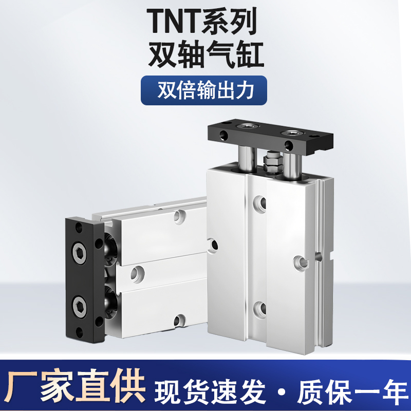 Tda Cylinder Tn Double-Axis Cylinder Tn10/16/20/25/32X40X50X100S Double-Rod Cylinder with Magnetic Cylinder