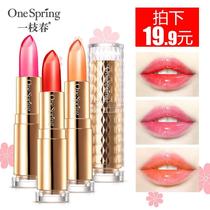 Yizhichun jelly lipstick long-lasting moisturizing not decolorizing Bite lip makeup not easy to dip cup Lipstick Lipstick students non-Korean