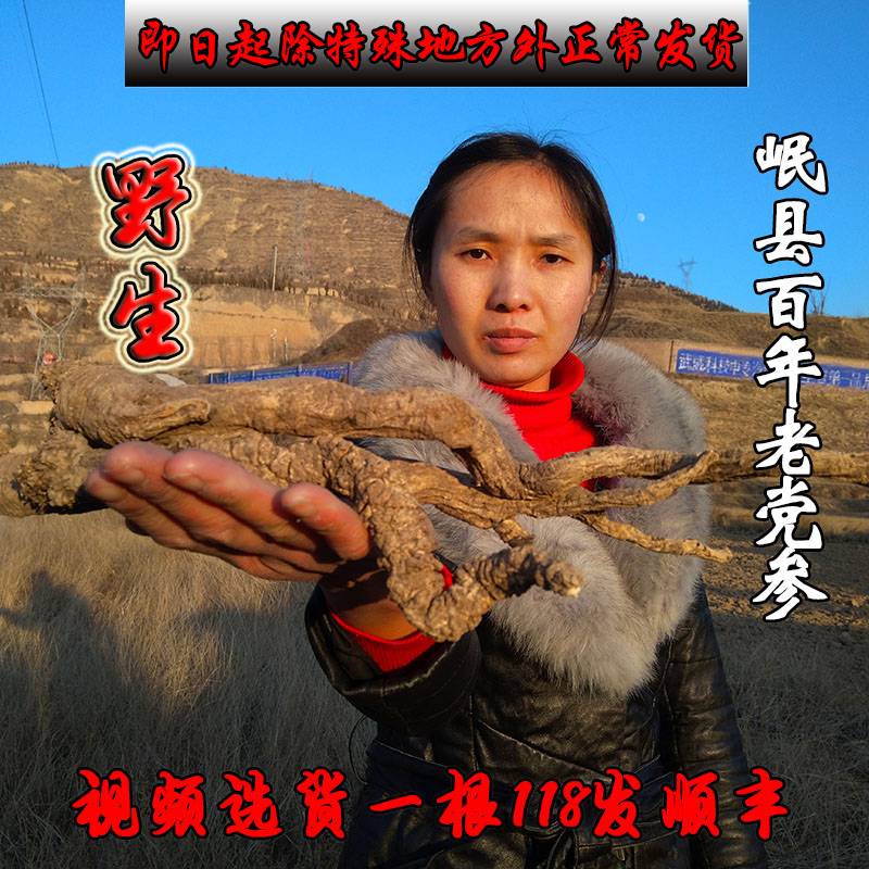 Gansu Minxian Wild Dang Shen Premium Century-old Dang Shen Lu Dang Shen grain Dang Shen with wild Astragalus Angelica
