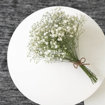 Wind dry bouquet Full of Sky Star natural plant wind romantic white small Daisy home decoration decoration