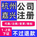 网猫财税