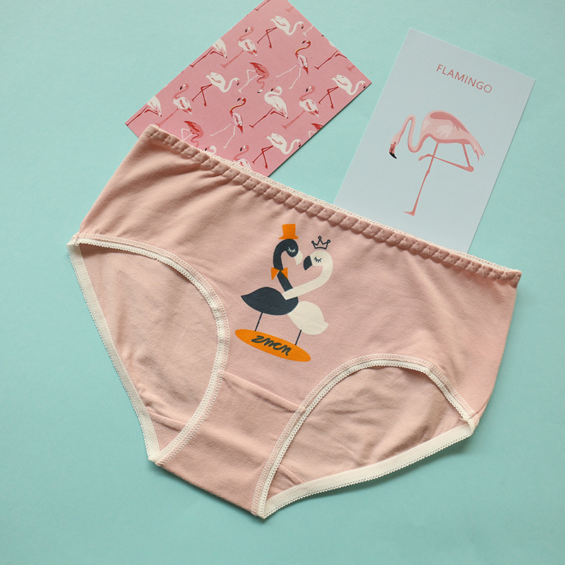 Quần lót nữ liền thân cotton 裆 100% cotton mid-eo kháng khuẩn nữ tóm tắt cô gái gợi cảm cỡ lớn quần lót nam cao cấp