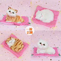 Dear love of the same model will be called the simulation Cat plush toy doll animal model doll creative ornaments