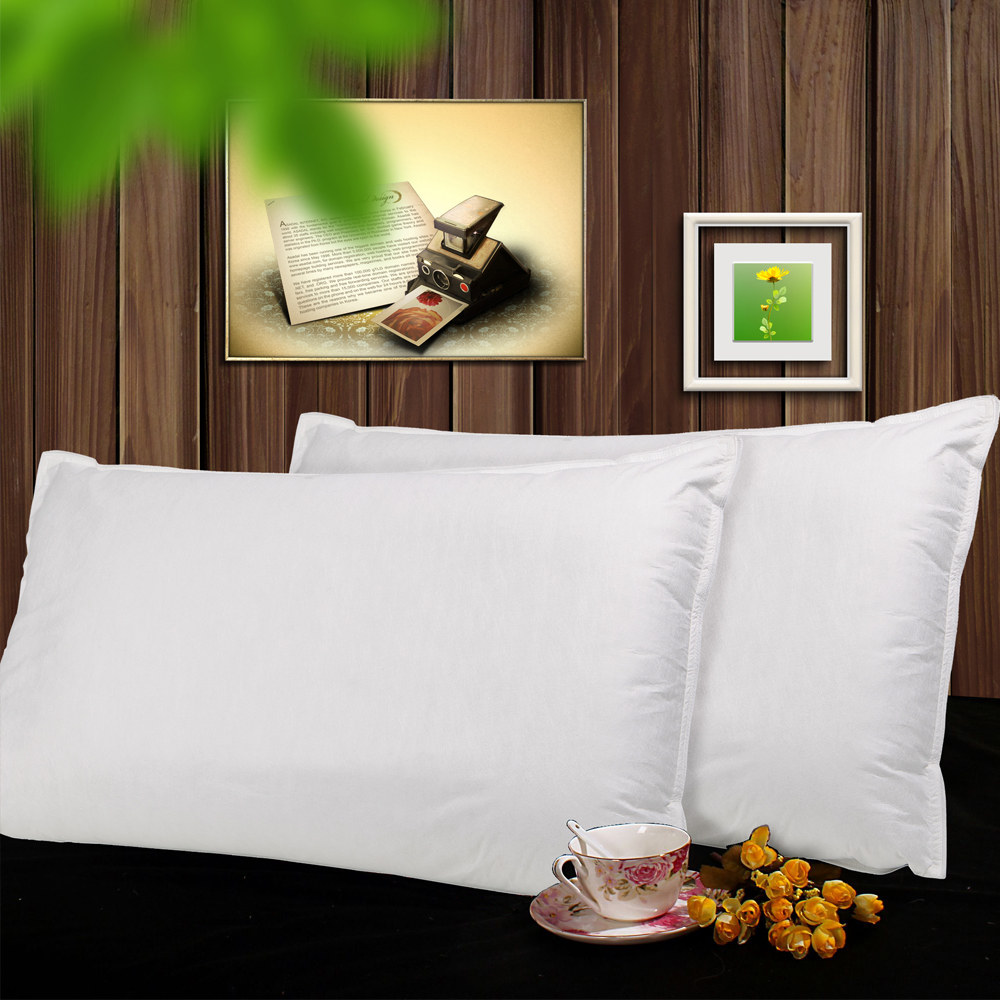 Paredin anti-mite bedding pillowcase professional anti-mite pillowcase anti-mite pillowcase (two)