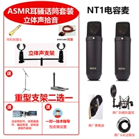 Микрофон, трехмерная трубка, беруши, 1 шт