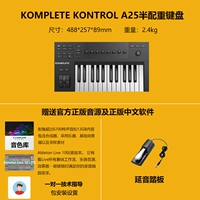 A25+yanyou Pedal+подлинный цвет звука+программное обеспечение +1 Руководство