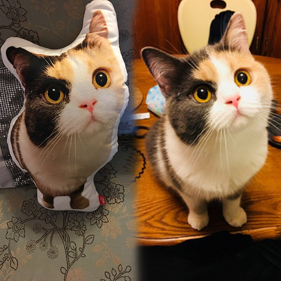 DIY 맞춤 베개 사진 맞춤 애완 동물 베개 고양이 개 모양의 bestie 선물은 흰색 가장자리 없이 못생긴 고양이를 인쇄할 수 있습니다