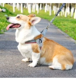 Дроящая веревка для собак Маленькая и маленькая собака и шейная цепь собак Корги сражается с ремешками, собака, ходящая собака веревка для питомца, петля