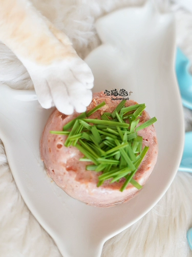 Каталическое соус искренне, искренне без карты, кошачья трава, почва, без гидропонка почвы, закуски для мяты кошки