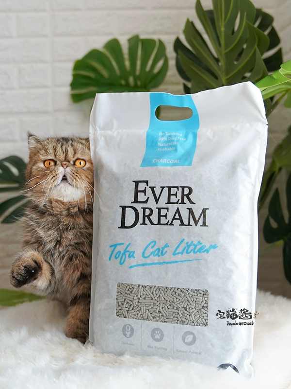 Nước sốt mèo nhà Khử mùi mơ xanh đậu hũ mèo Bao giờ mơ khóa nước nhóm có thể rửa cát vệ sinh dễ lau chùi - Cat / Dog Beauty & Cleaning Supplies