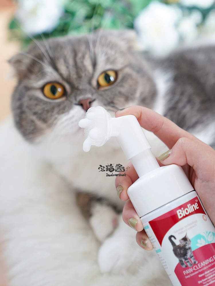 House Cat Sauce Bioline Bio-Lean Cleansing Foot Bọt Claw Foot Foot Cleaning Care Bọt 100ml - Cat / Dog Beauty & Cleaning Supplies