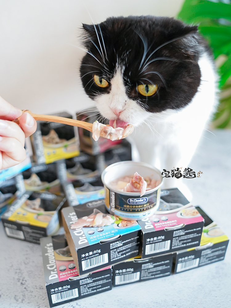House Cat Sauce Dr.Clauders Claude Doctor thành một con mèo Cat Chicken Salmon Cat Cat Cat đóng hộp 80g - Đồ ăn nhẹ cho mèo hạt mèo catsrang