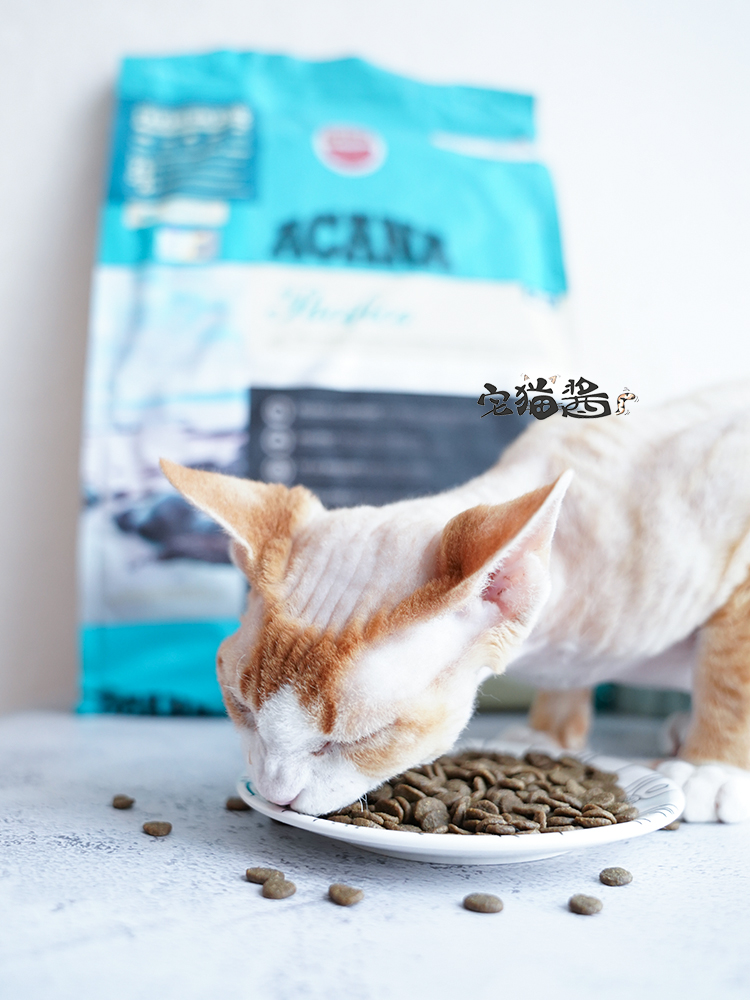 Nước sốt mèo tình yêu Kenda gói lớn cá biển sâu 5,4kg mèo đầy đủ thức ăn chủ yếu - Cat Staples Hạt Whiskas cho mèo con