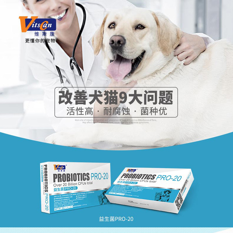 Nước sốt mèo nhà Viscon probiotic PRO20 bảo vệ ruột mèo điều hòa dạ dày chó và mèo chống tiêu chảy táo bón - Cat / Dog Health bổ sung mèo uống sữa gì