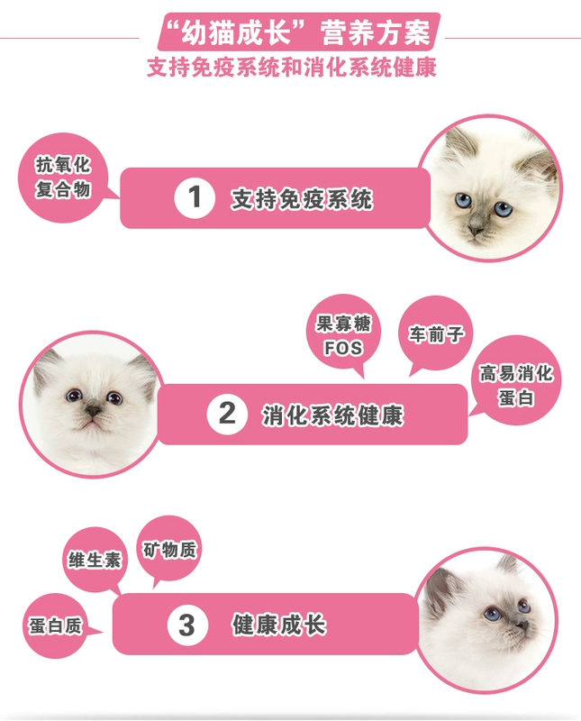 House Cat Sauce ROYAL CANIN Royal Cat Food 4 ~ 12 tháng Dinh dưỡng Khỏe mạnh cho mèo Cat Thức ăn chính K36 400g - Cat Staples thức ăn cho cún