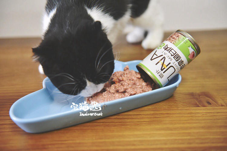 Nước sốt mèo nhà mèo Puff TUNA cá / gà mèo đóng hộp Mèo ăn nhẹ thực phẩm đóng hộp 150g - Đồ ăn nhẹ cho mèo royal canin mèo