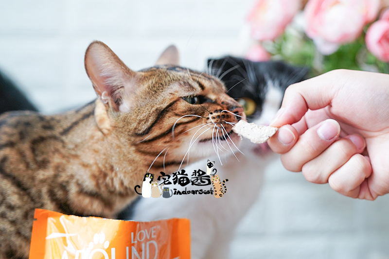 Nước sốt mèo nhà Tình yêu thú cưng khối đông khô nguyên thịt thịt mèo ăn nhẹ Gà khô thưởng thức ăn nhẹ 30g - Đồ ăn nhẹ cho mèo mua thuc an cho meo