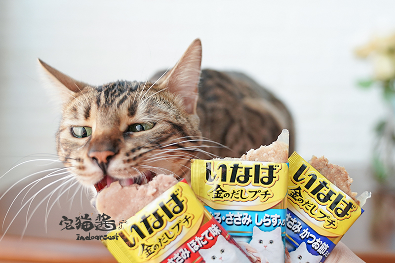 House Cat Sauce Ina Baojins Tasty Food Food Cat Snacks Pet Green Tea Formula Dinh dưỡng vào Cat Soft Pack Snacks thức ăn cho mèo minino