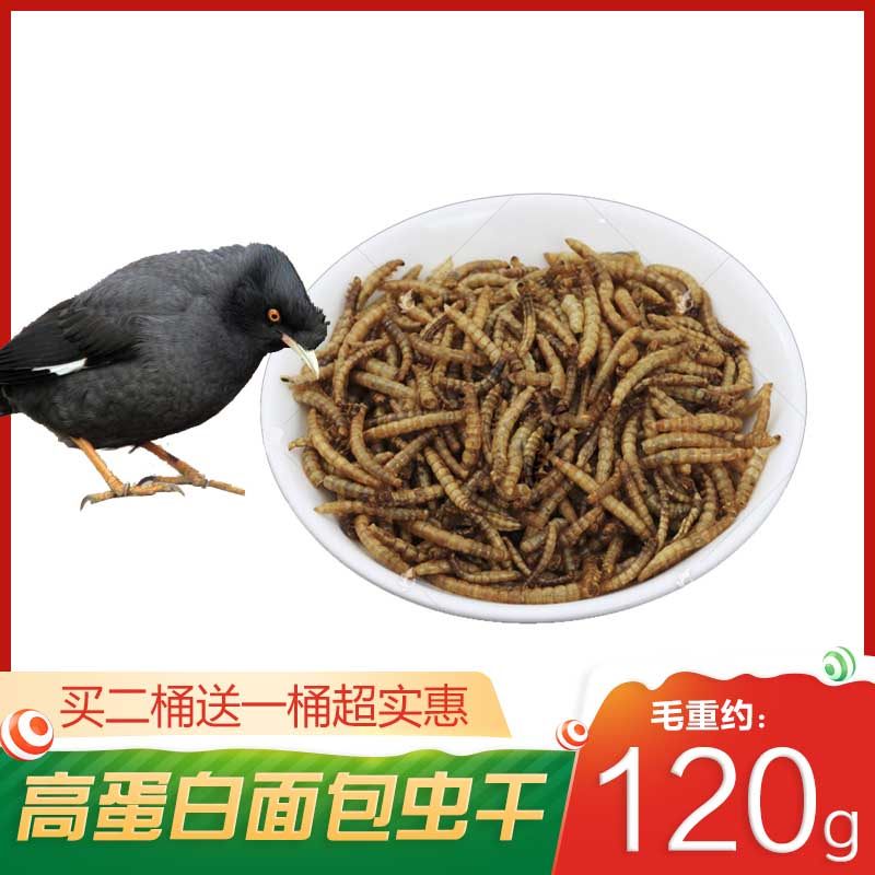 Myna bird food myna feed bread worm dry nutritional protein snack thrush grain yellow mealworm dry canned