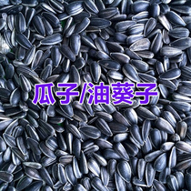 Black pearl small melon seeds sunflower seeds oil sunflower seeds parrot bird food parrot bird food pigeon food 500g